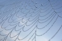 Cátedras: Workshop sobre Sistemas Complexos acontece em 2 e 3 de março na UFSCar