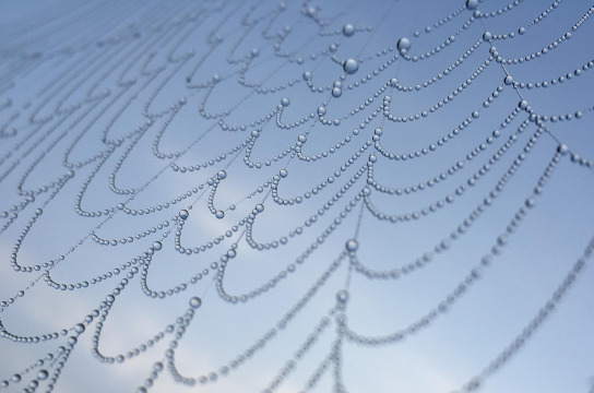 Participação é aberta às pessoas interessadas, mediante inscrição (Imagem de Pixabay)