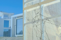 IEAE segue sob direção de Adilson de Oliveira na gestão 2026-2029